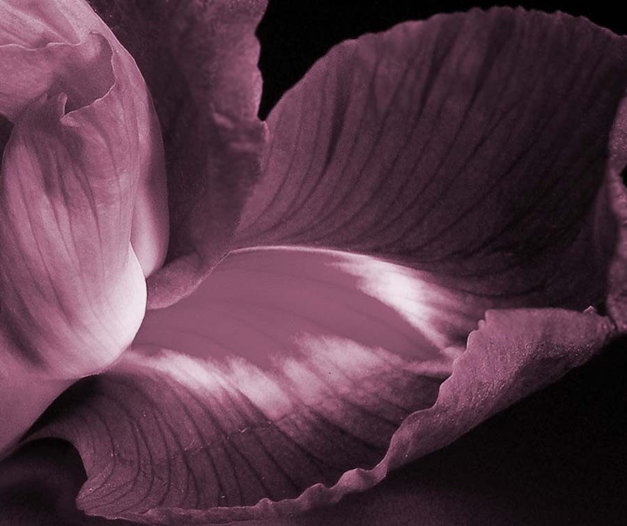 eine Reihe von "sinnlichen Formen"