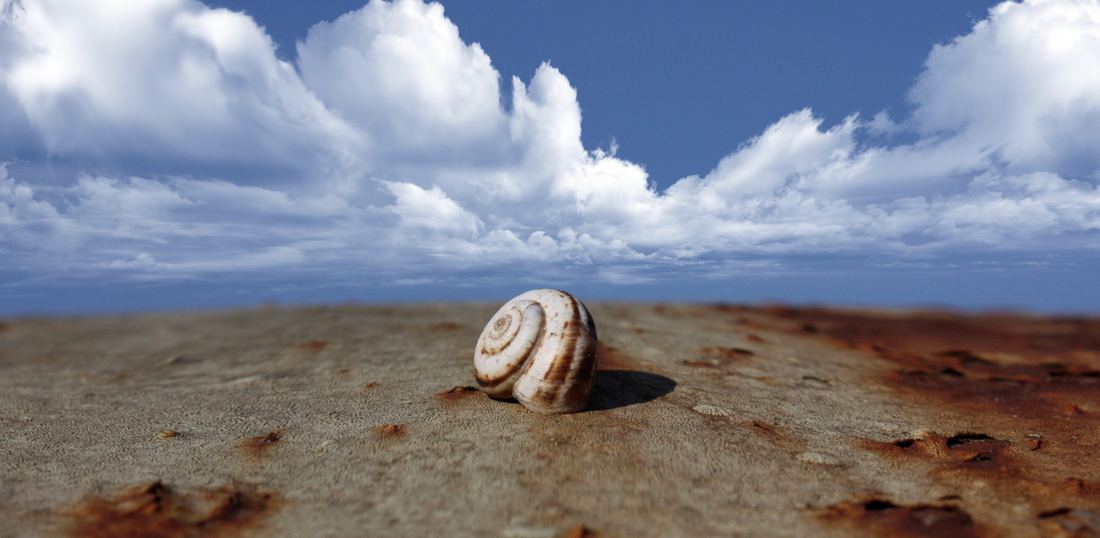 Die Philosophie der Cochlea.