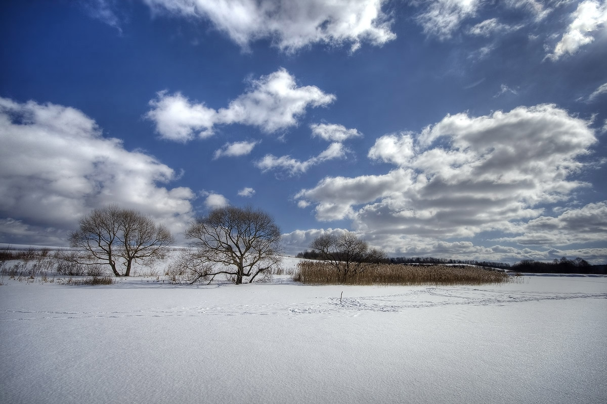 | Im Zuge eines Fischers |