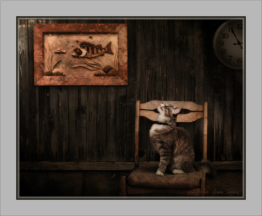 Manchmal träumt nur Schwimmer weg ... oder pisChevaya Kette:)