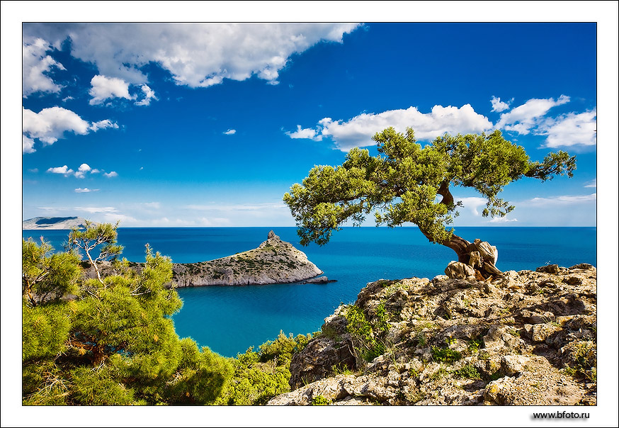 Frühling in der Krim