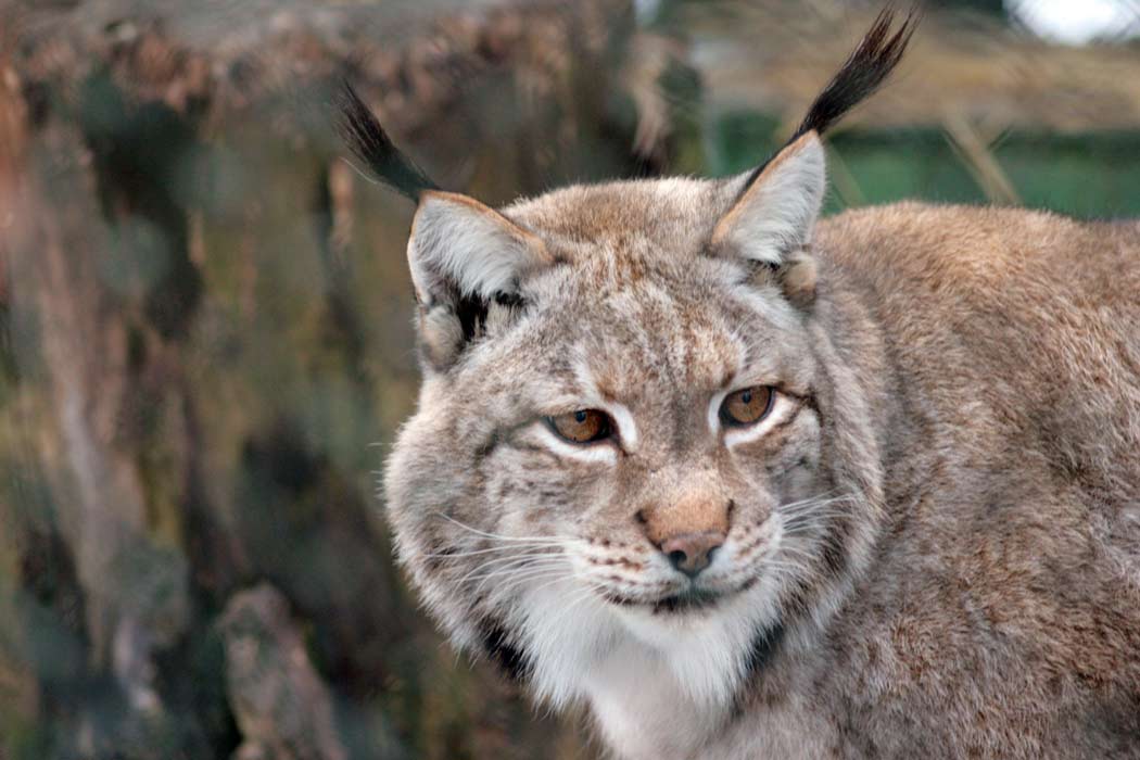 Immer auf der Suche!