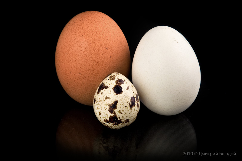 Family Portrait: Mixed Marriage