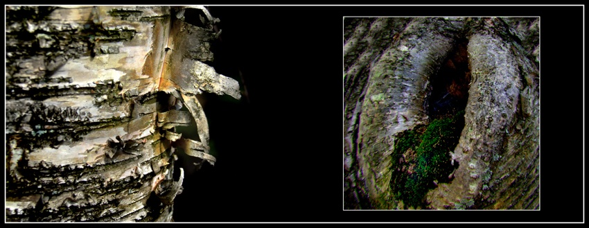 die einzig richtige Wahl