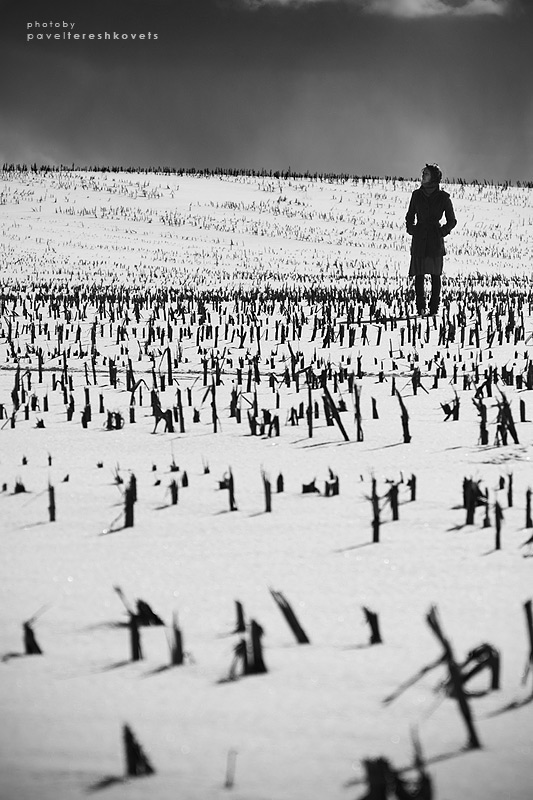 [Windrose. Suspense}