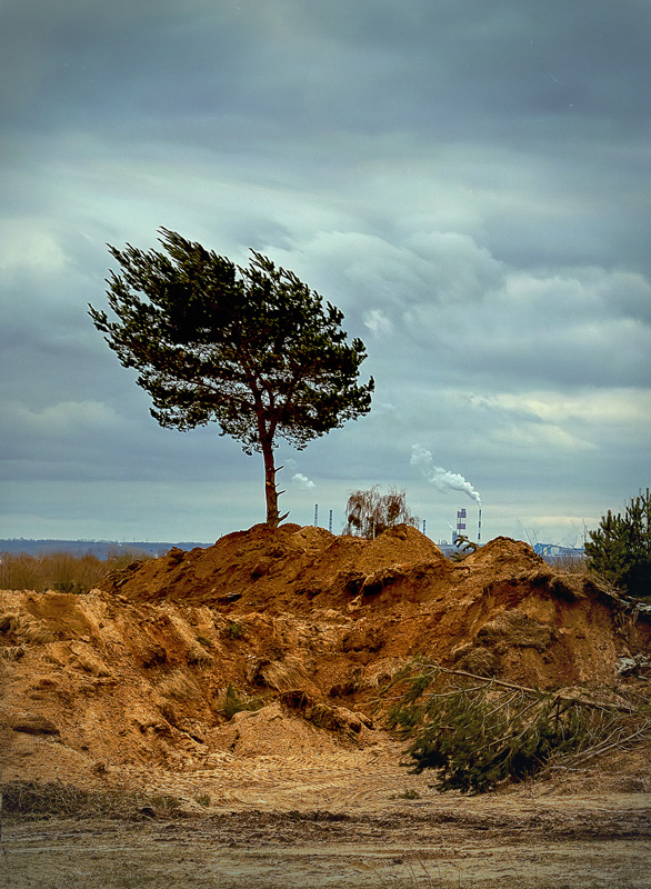 Das Schicksal solcher.