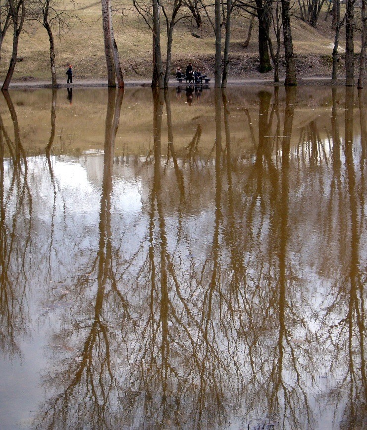 Wenn die Bäume waren hoch