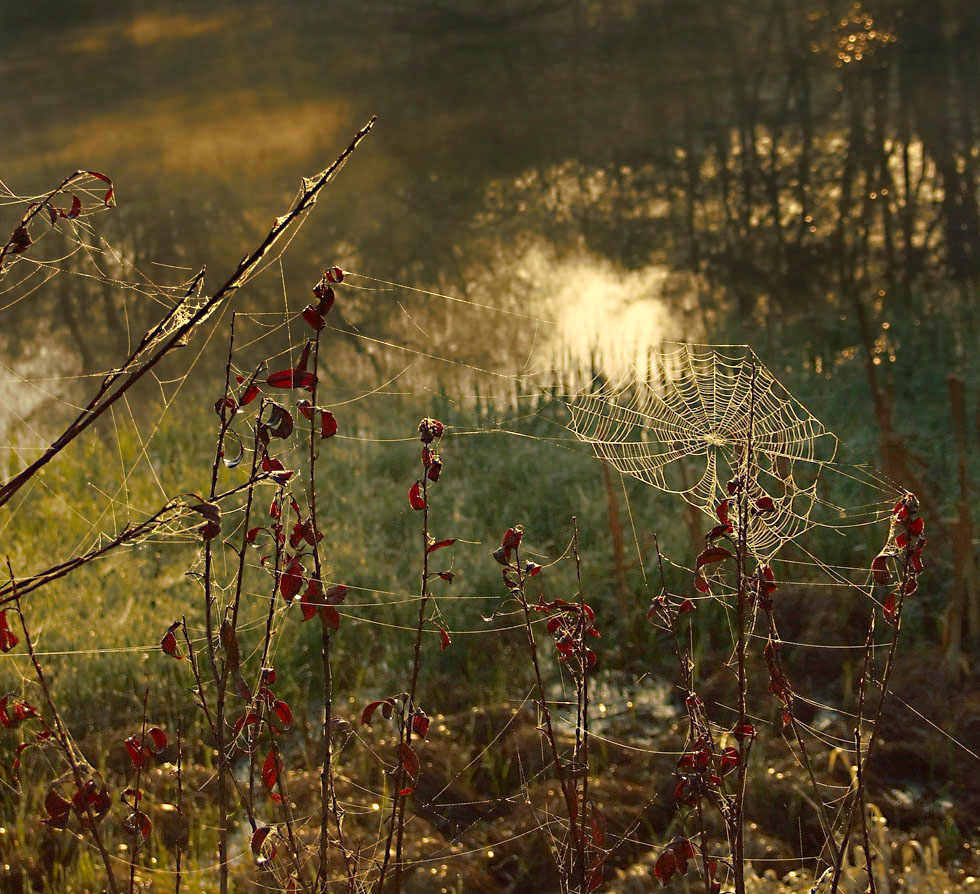 Aprilmorgen Skizze ...