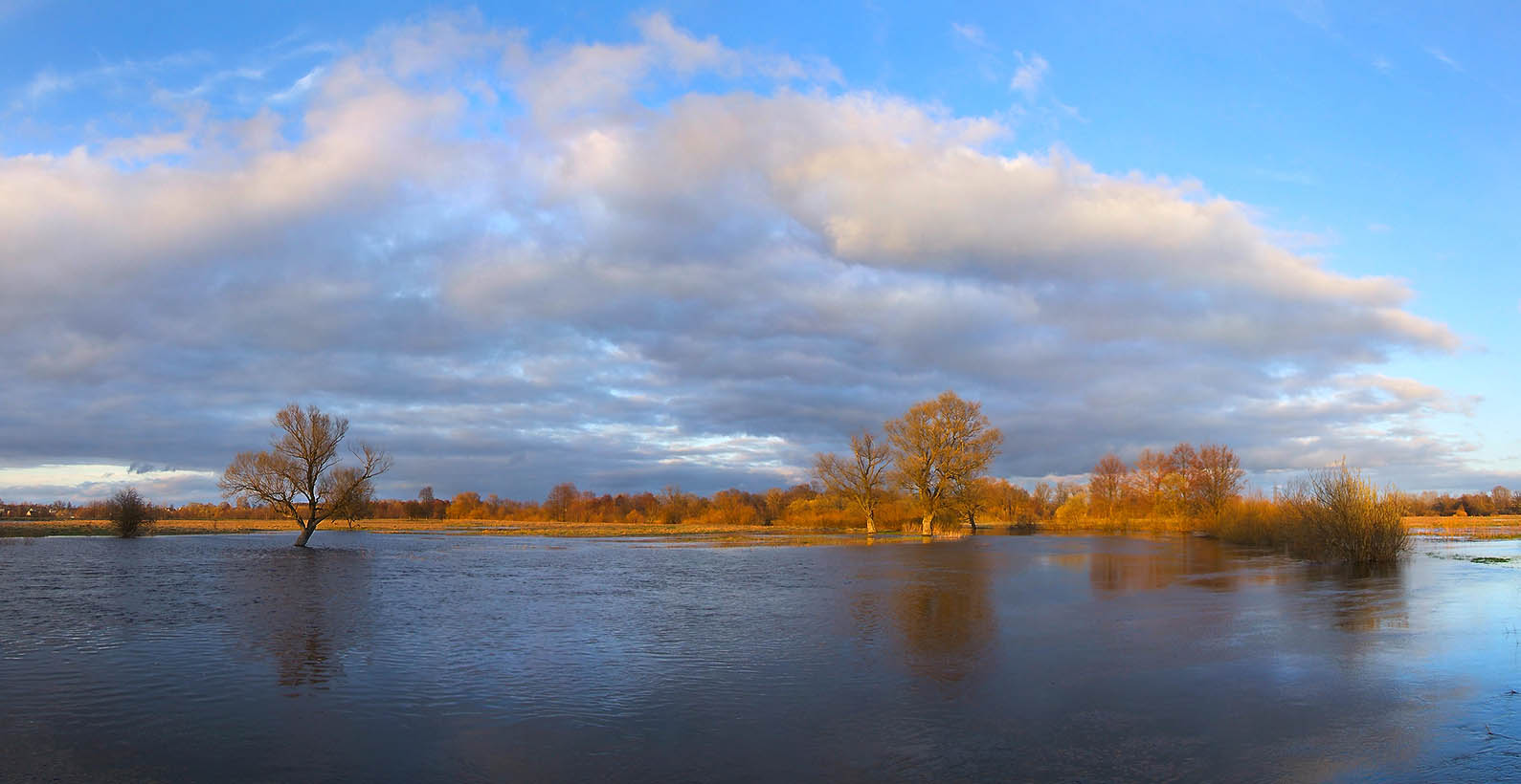 Im Fall eines Austretens