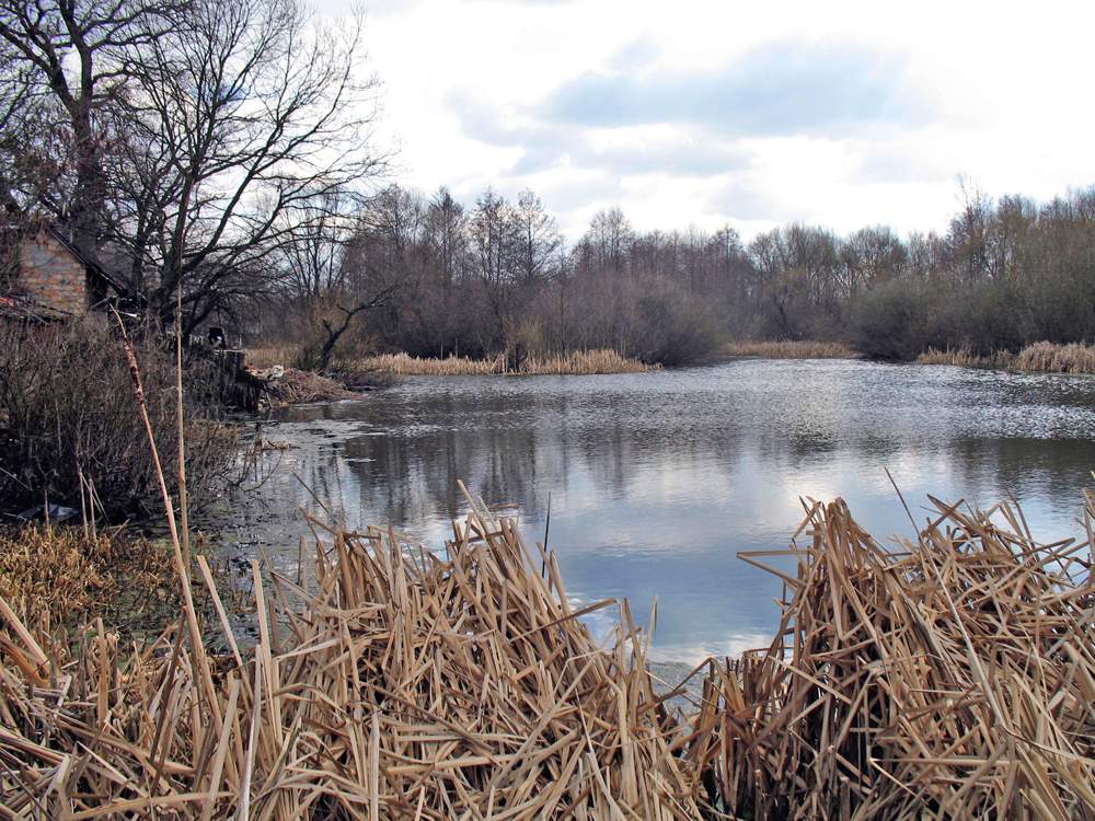 Kälte Herbstlandschaft