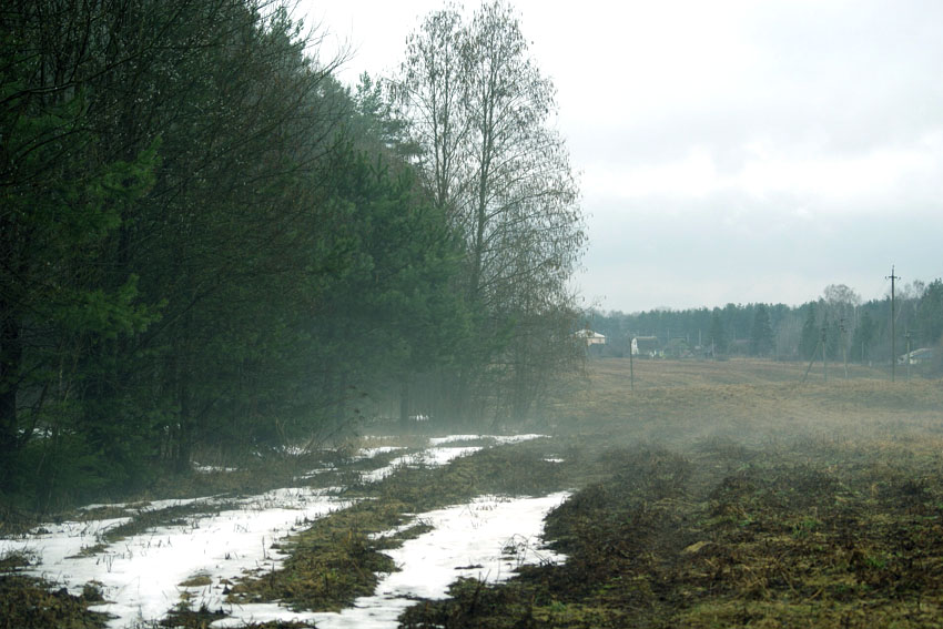 in den Bereichen ...