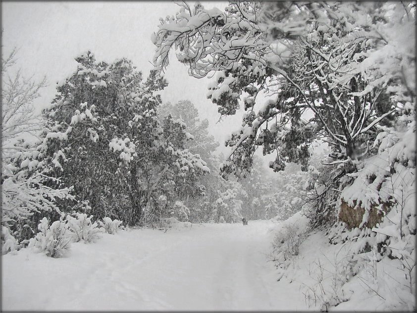 y Garah snegapady ...