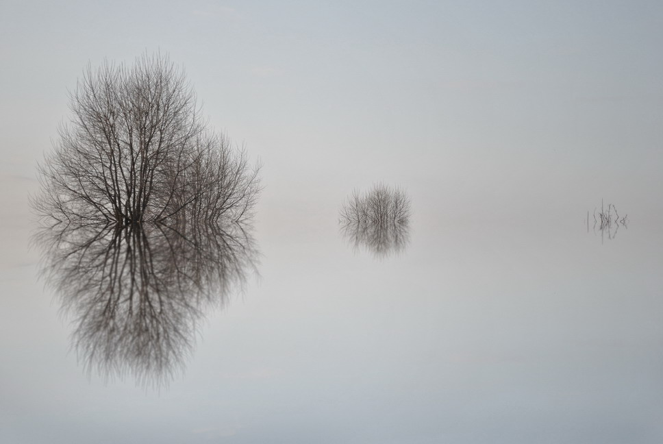 L'attention le brouillard