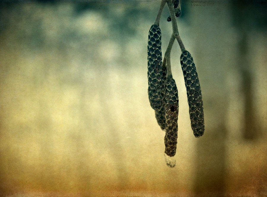 Im Wahnsinn gibt es keinen Grund ...