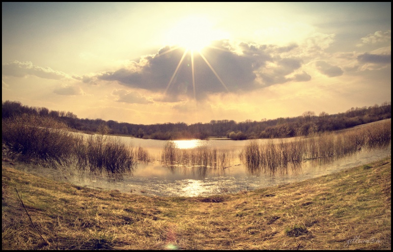 auf Frühlings-Überläufe
