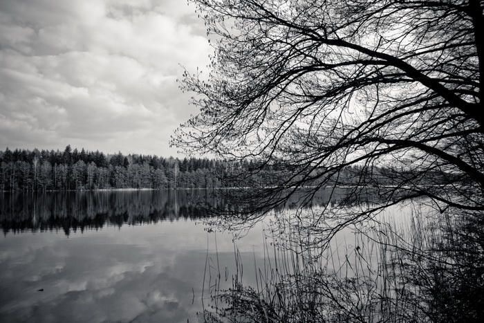 Geruch des Frühlings ...