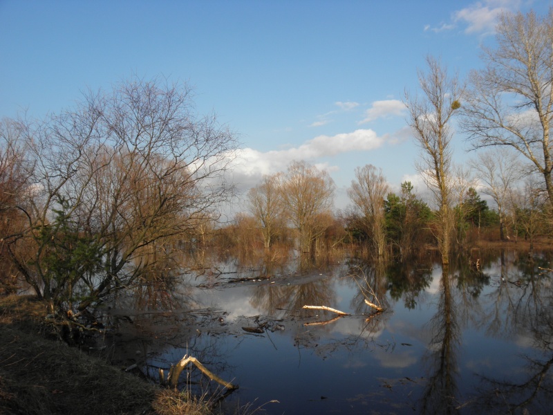 Der Frühling kommt!