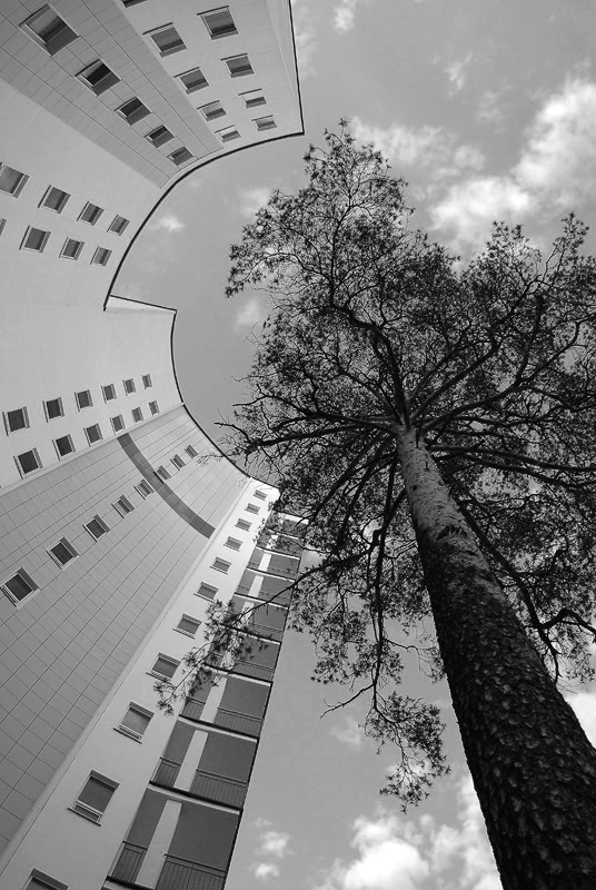 erreichen, um den Himmel