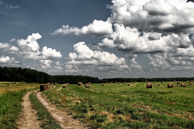 Shliakh mіnulyh Zen ...