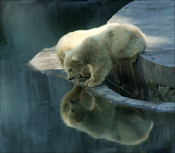 Achtung! Wer ist es?!