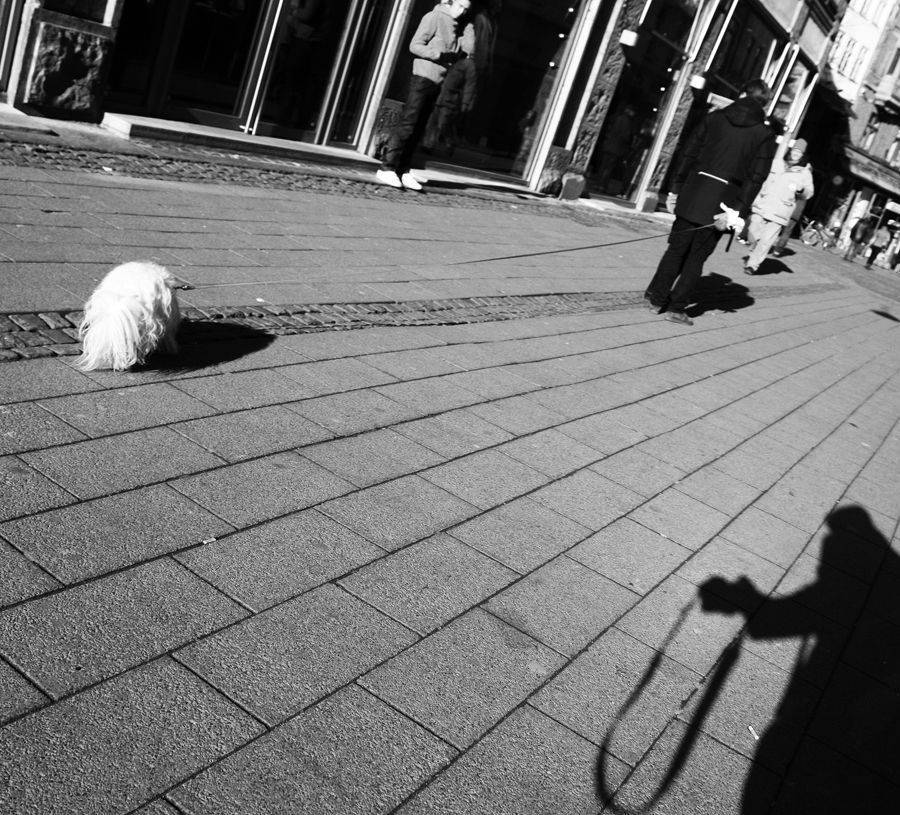 Selbstbildnis mit Hund