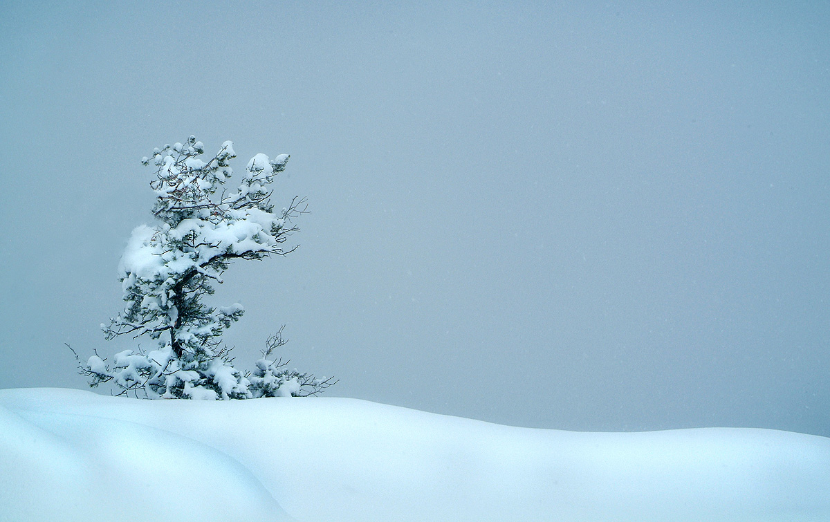 Aber für den Nebel - Groß Canyon ..