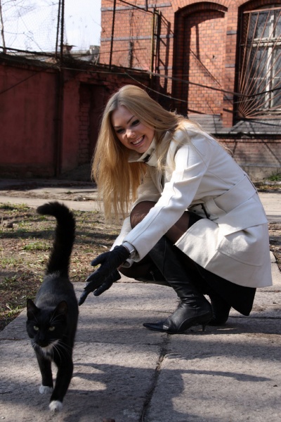 Kitten kommen poglazhu!