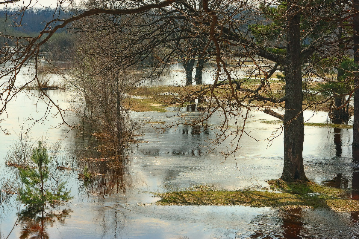 Berezin Spring Bottling
