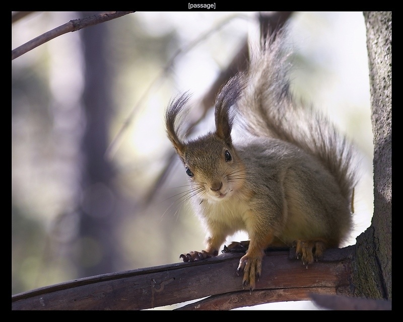 windig - 2: vetrom müde ...