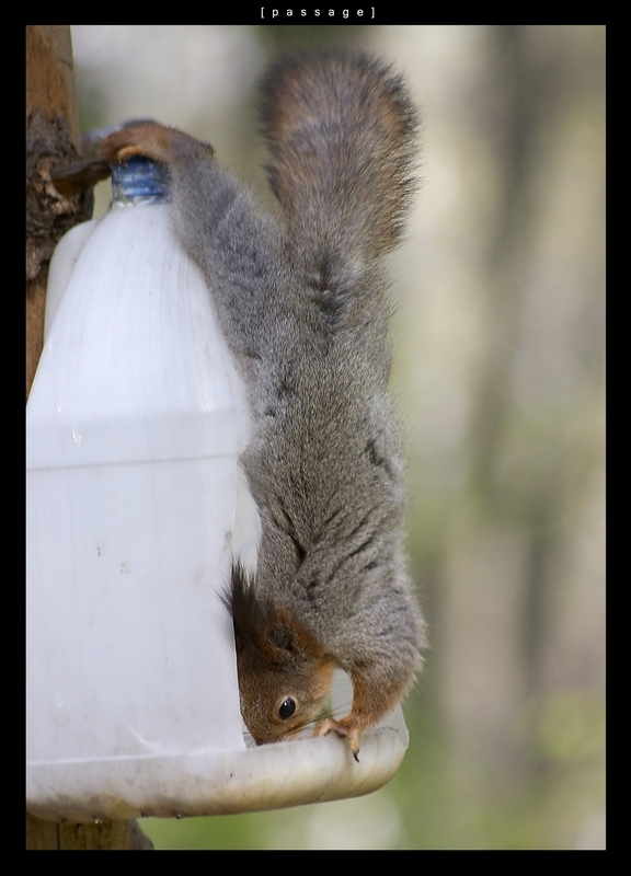Protein akrobatischen!