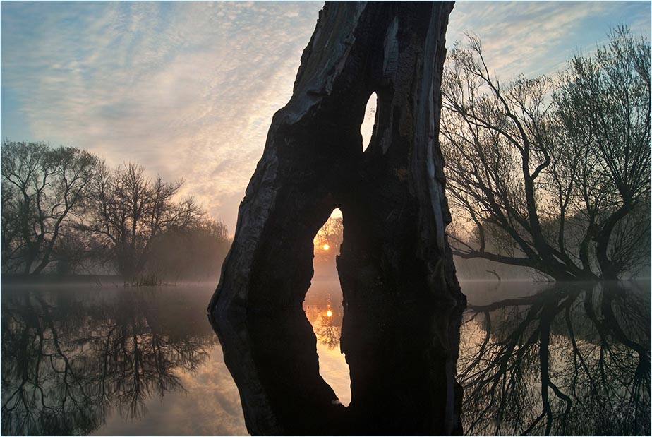 Tale of Spring River