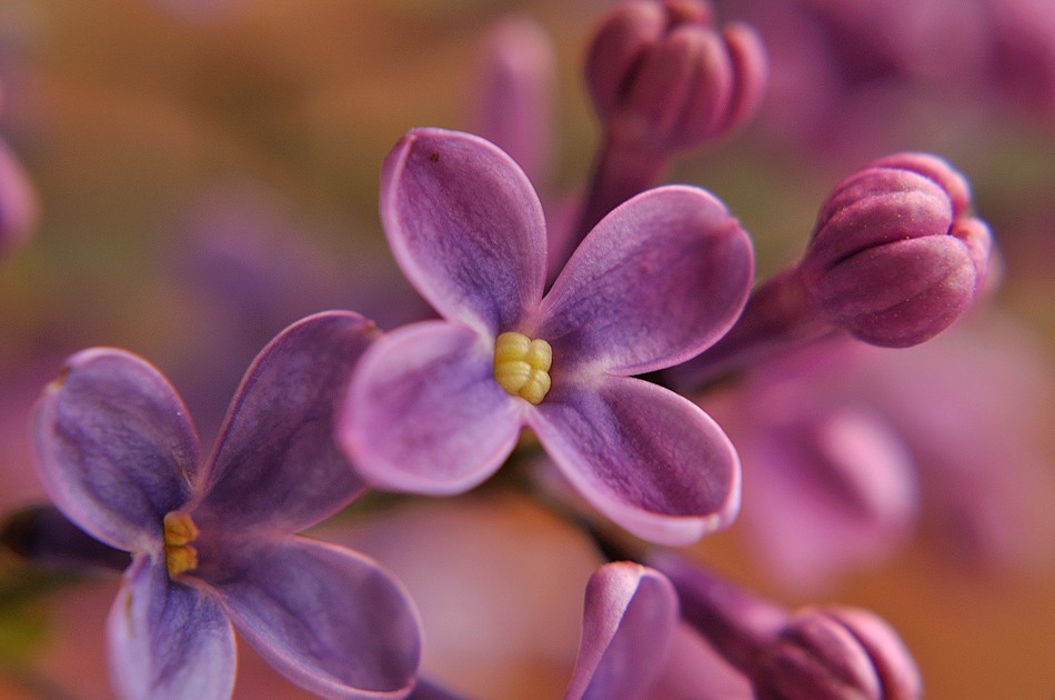 Waiting for the Sun:)))))