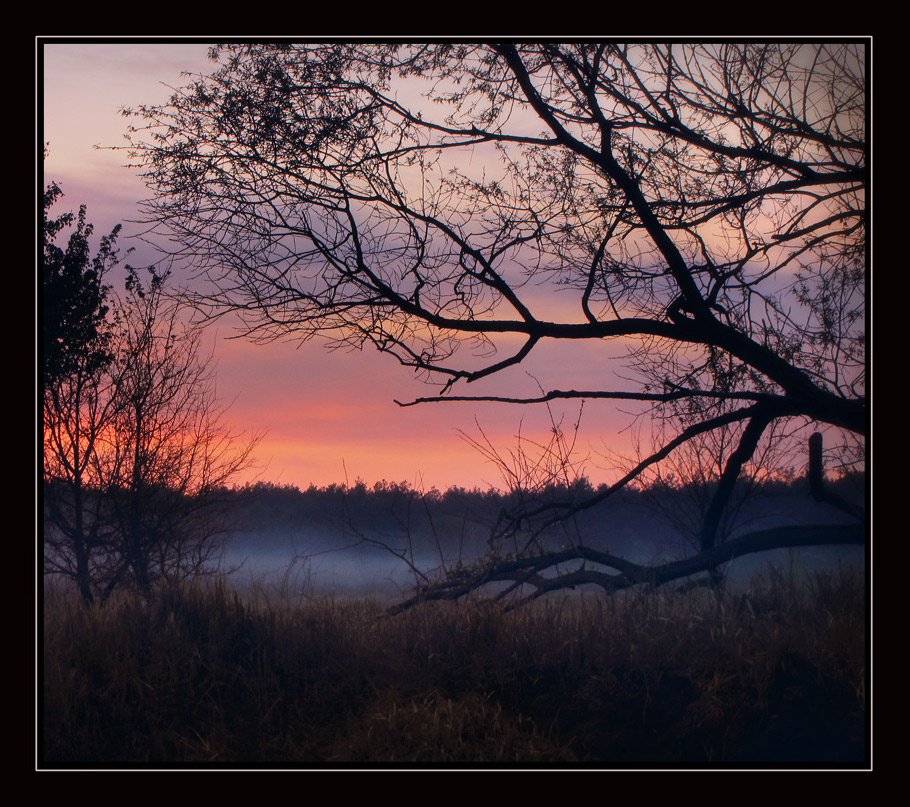 Sie hören flüstert im Land der Träume ...?