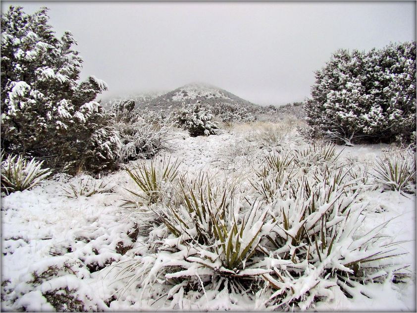 Nackt Meskika. Schnee Schlag