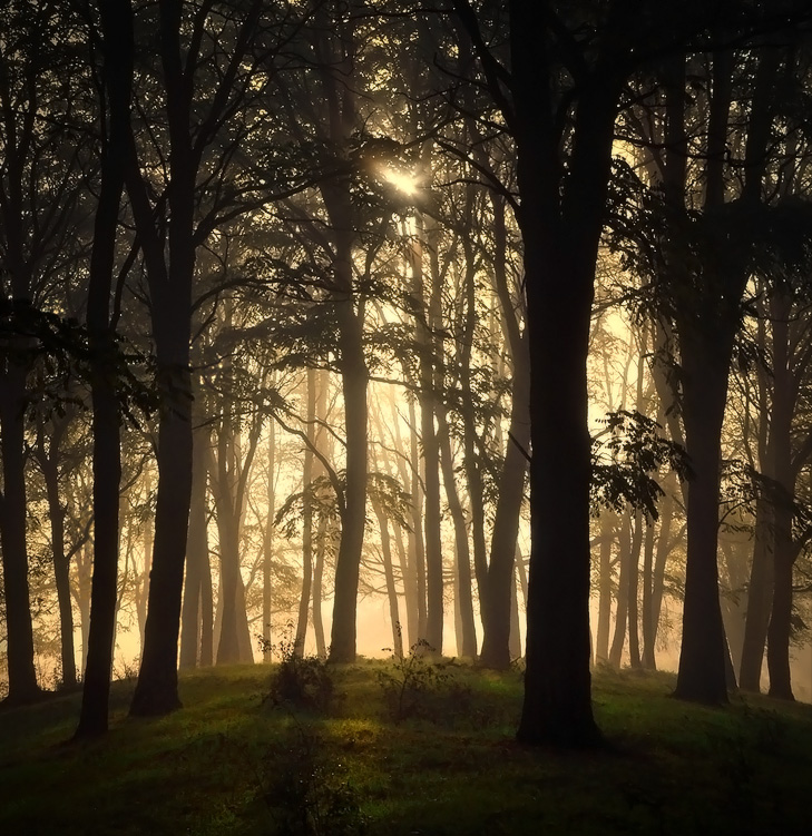 An einem Morgen tanzen