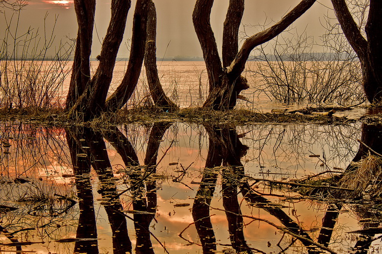 ... Widerspruch ... (sa kalyuzhyna smetstsem)