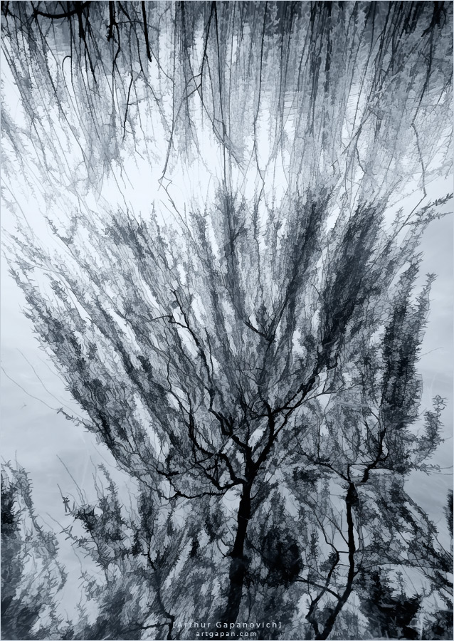 [私 の 手 が 風 に 振る]