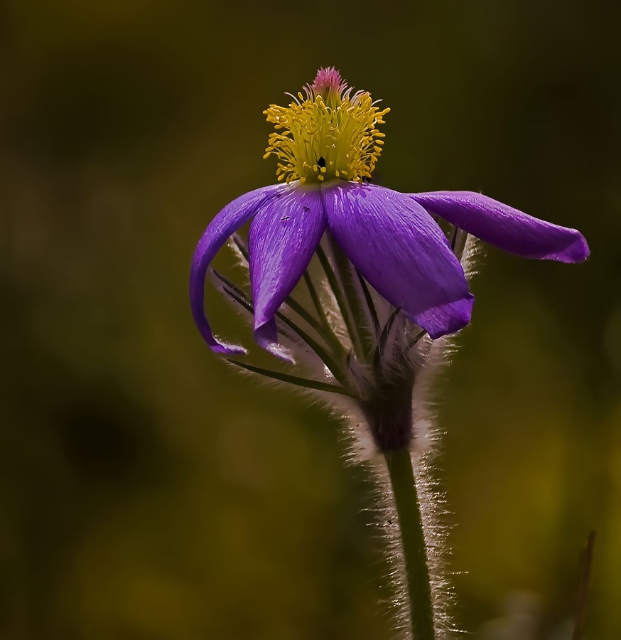 Gemeinsame Rückenschmerzen