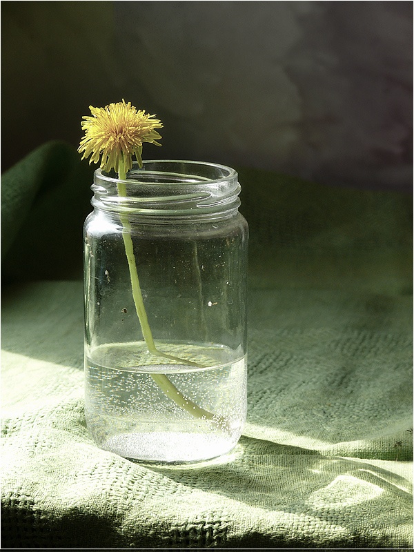 Essay Thema für den Frühling