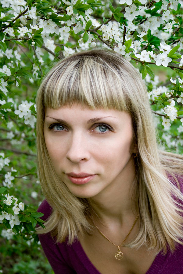 In den Blüten der Kirsche