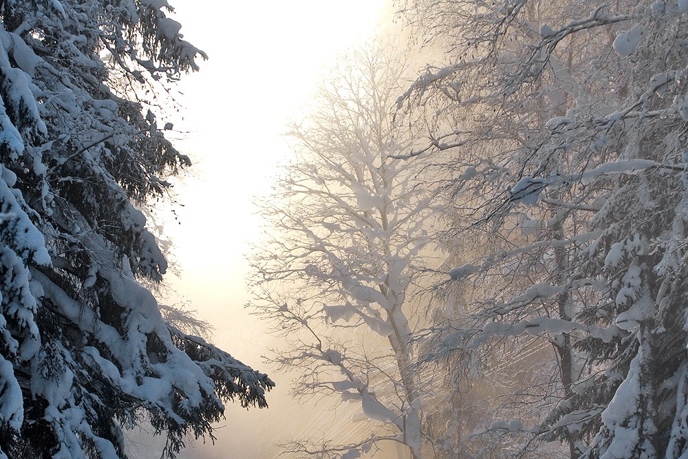 Wo gibt es jetzt die Sonne ...