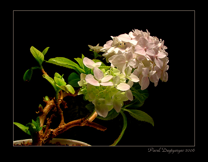 Shades of Zärtlichkeit