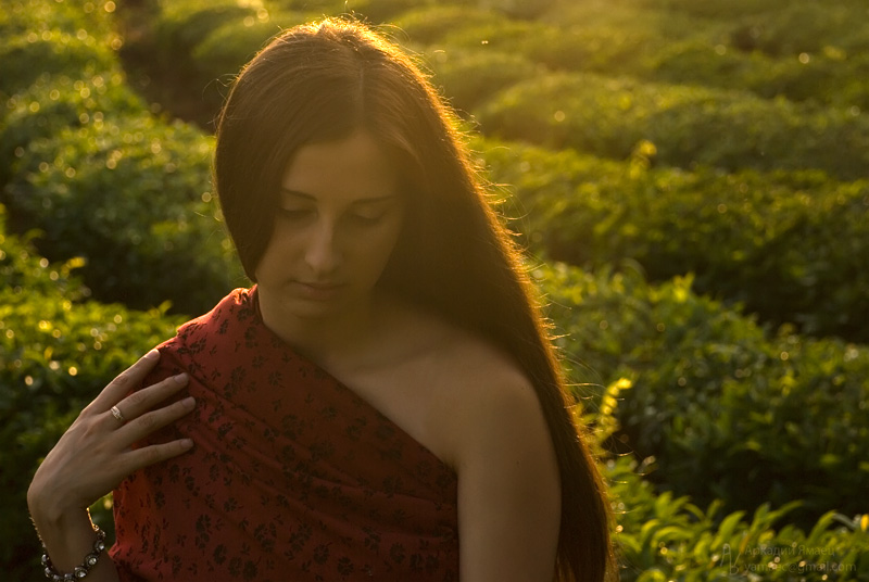 Von Indien with Love