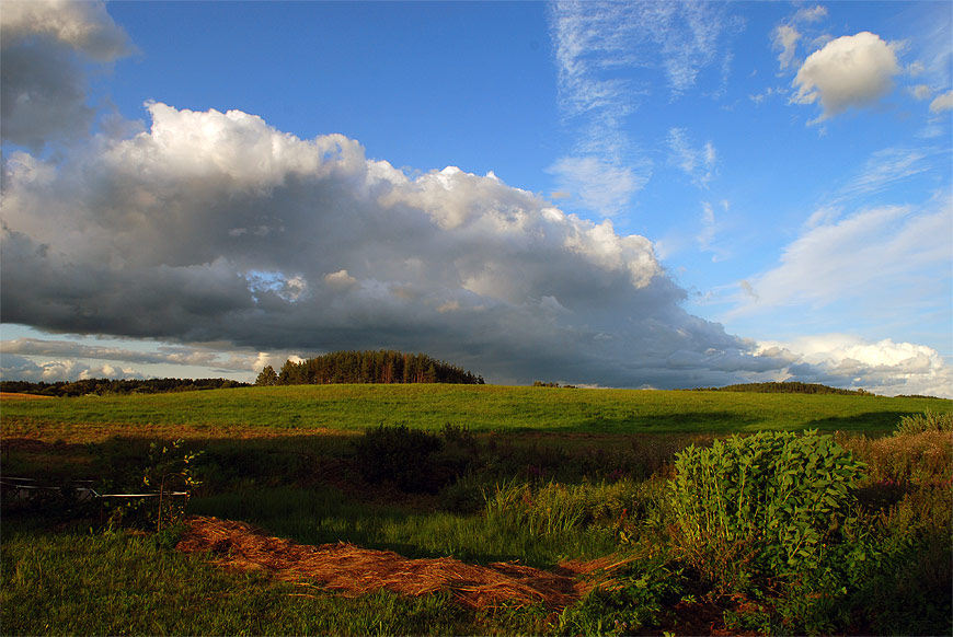 Aukshtaitiya in avguste_1