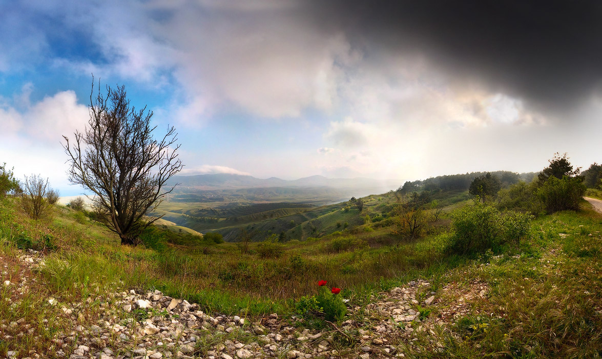 Frühling - mit dem Krim-Pion