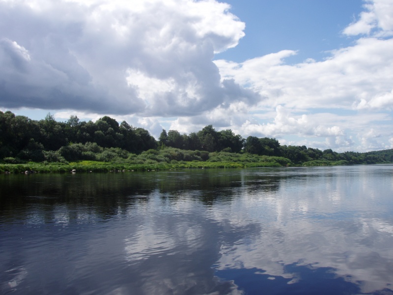 Verführerisch Wasseroberfläche