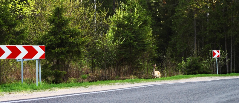 alle am Wahltag )))))