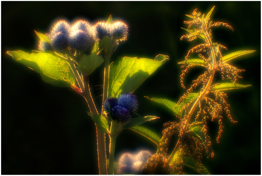 Shooting Monokel Hintergrundbeleuchtung