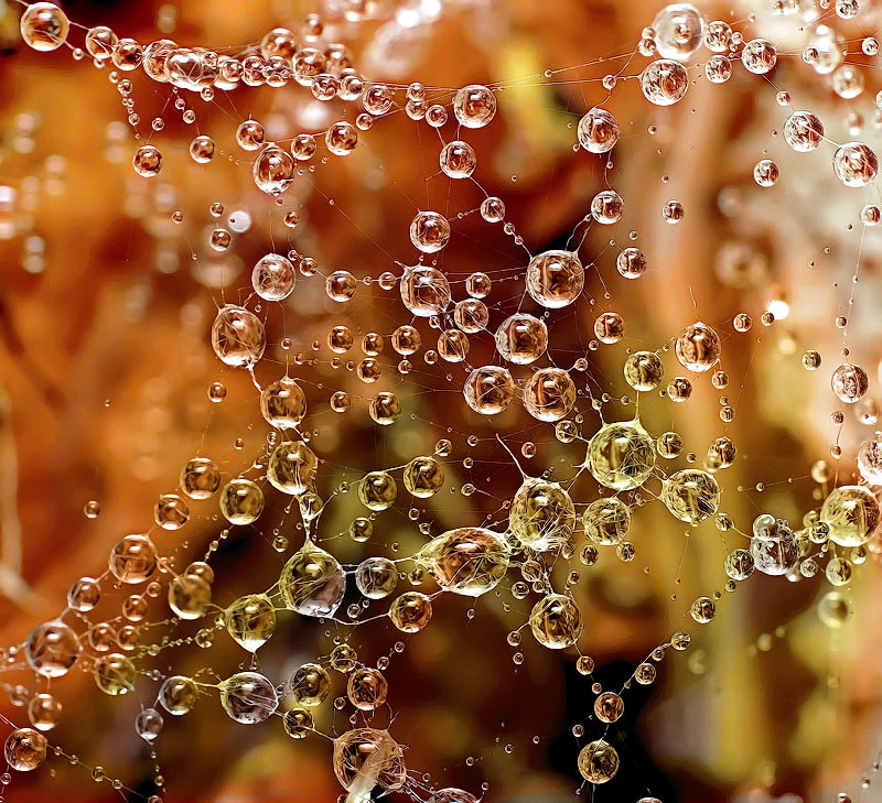 Gewitter und Blitz ...