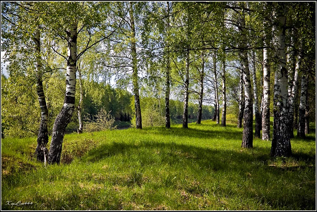 Wahrlich russischen Landschaft.